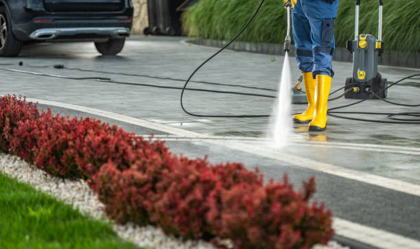 Best Rust Removal  in Kingstowne, VA